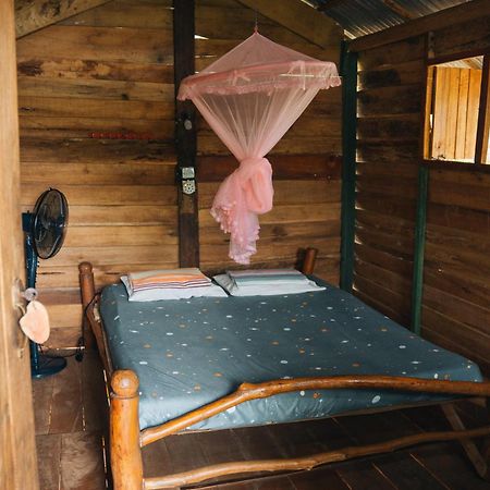 Angry Birds Tree House Apartment Habarana Bagian luar foto