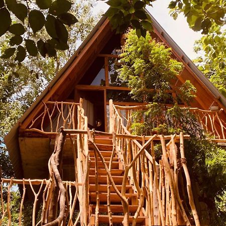 Angry Birds Tree House Apartment Habarana Bagian luar foto