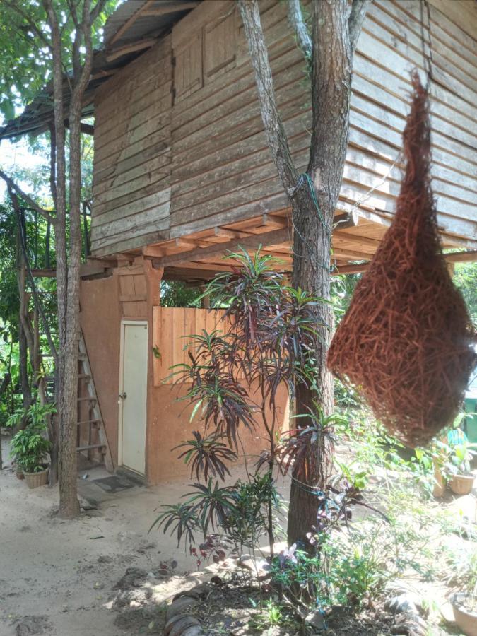 Angry Birds Tree House Apartment Habarana Bagian luar foto