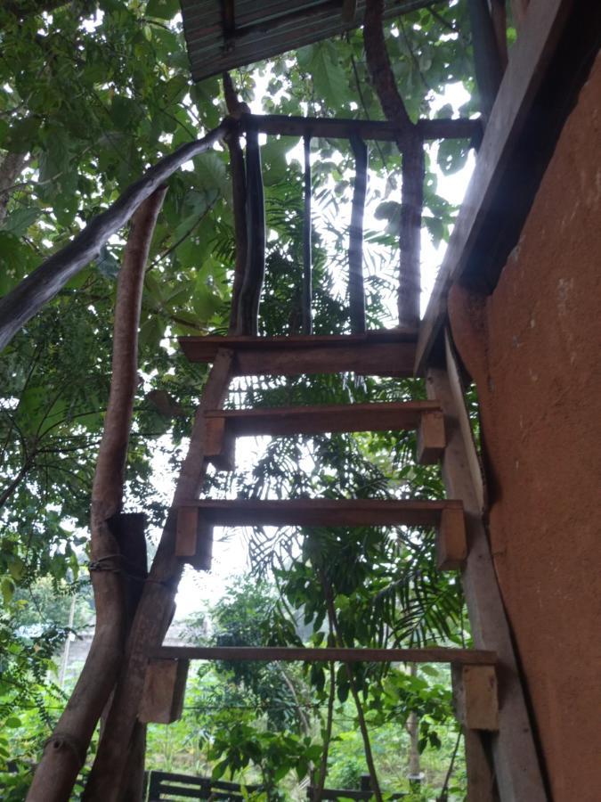 Angry Birds Tree House Apartment Habarana Bagian luar foto