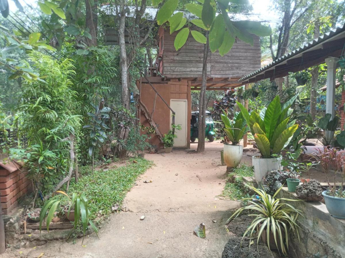 Angry Birds Tree House Apartment Habarana Bagian luar foto