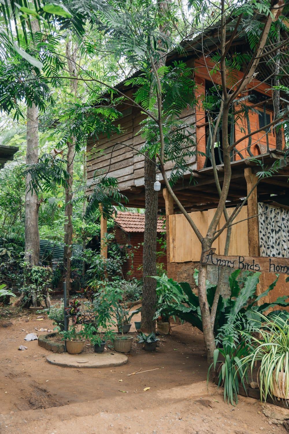 Angry Birds Tree House Apartment Habarana Bagian luar foto
