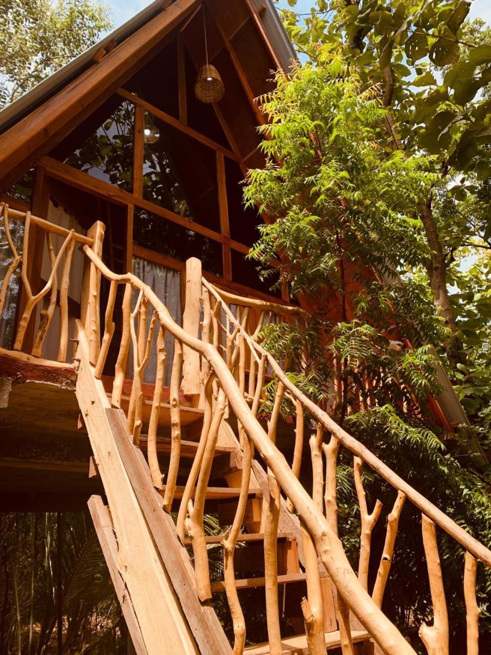 Angry Birds Tree House Apartment Habarana Bagian luar foto