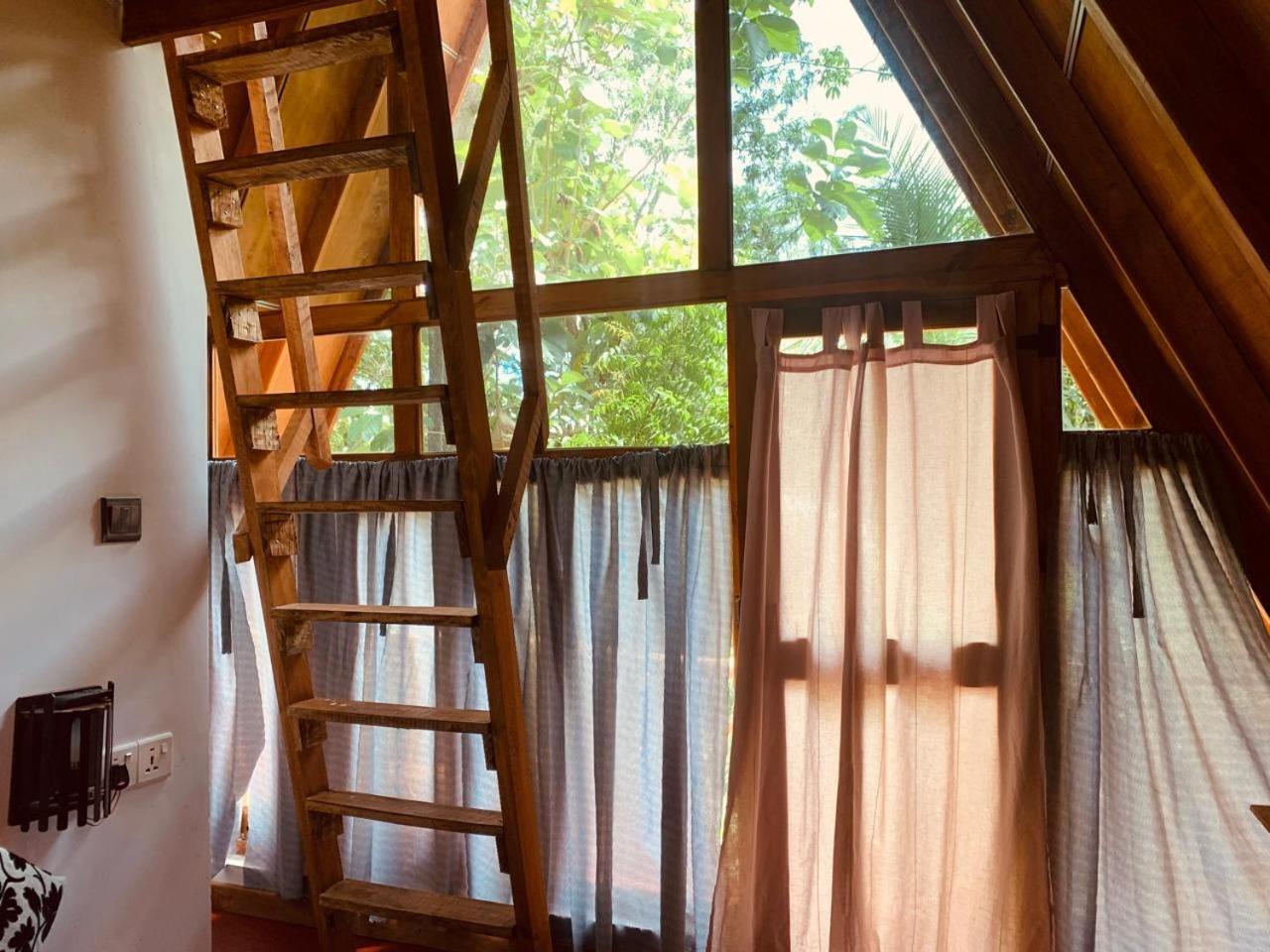 Angry Birds Tree House Apartment Habarana Bagian luar foto
