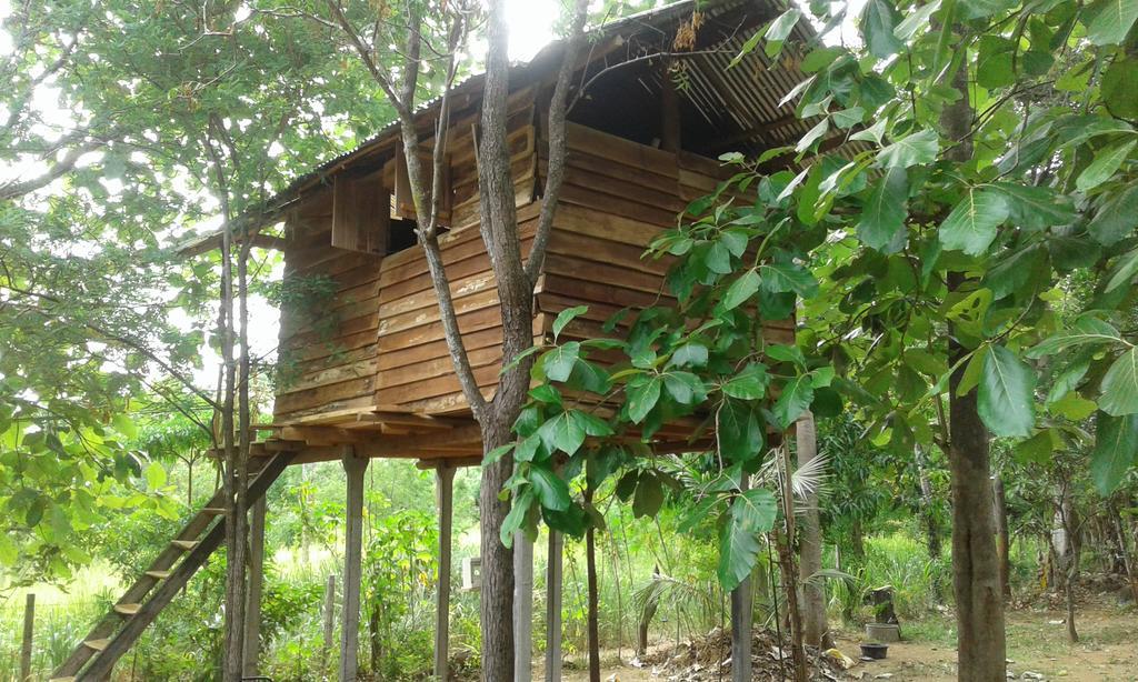 Angry Birds Tree House Apartment Habarana Bagian luar foto