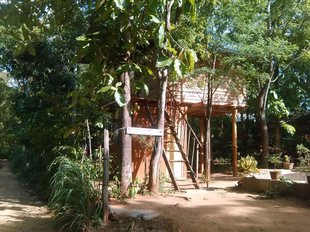 Angry Birds Tree House Apartment Habarana Bagian luar foto