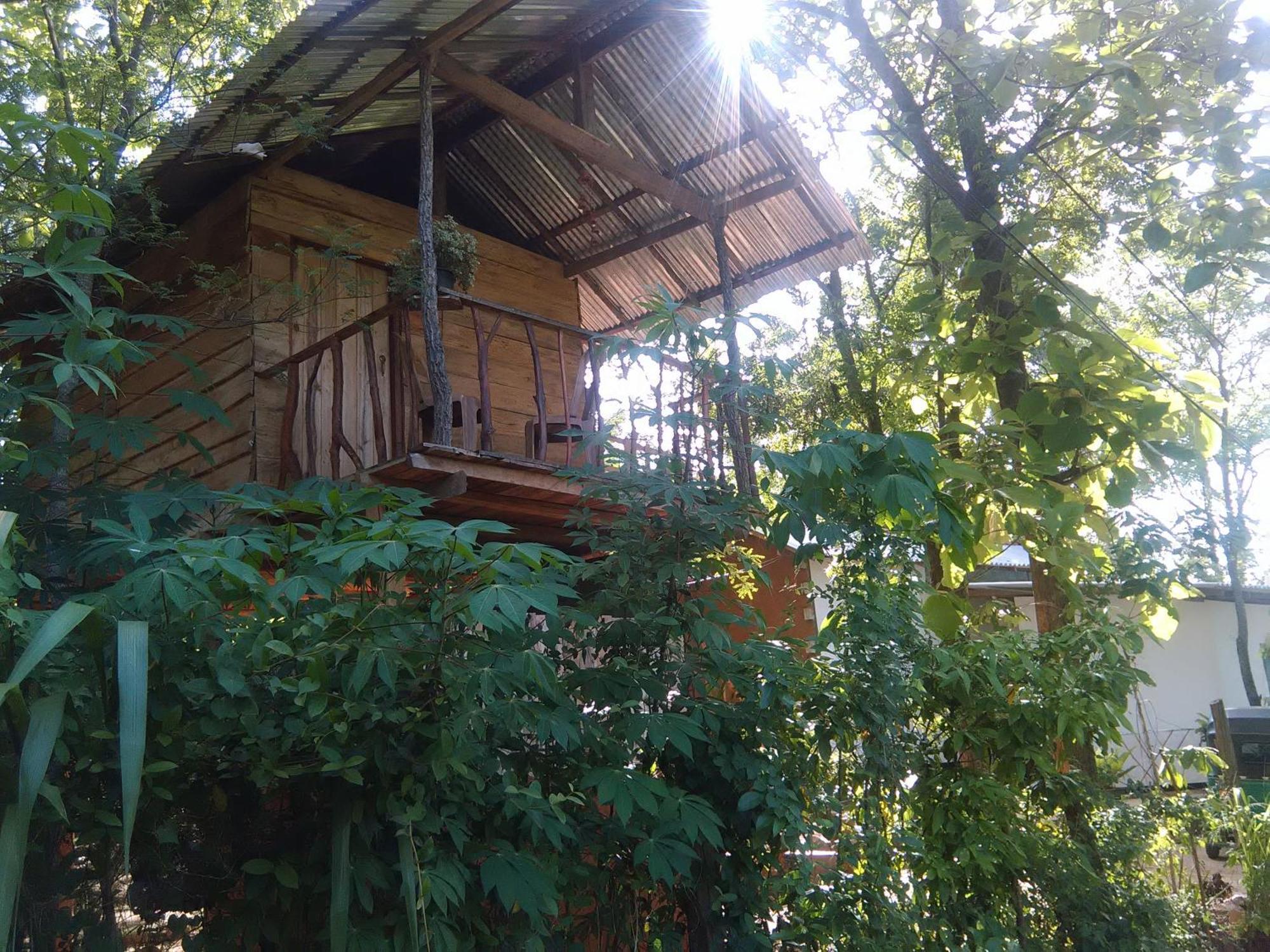 Angry Birds Tree House Apartment Habarana Bagian luar foto