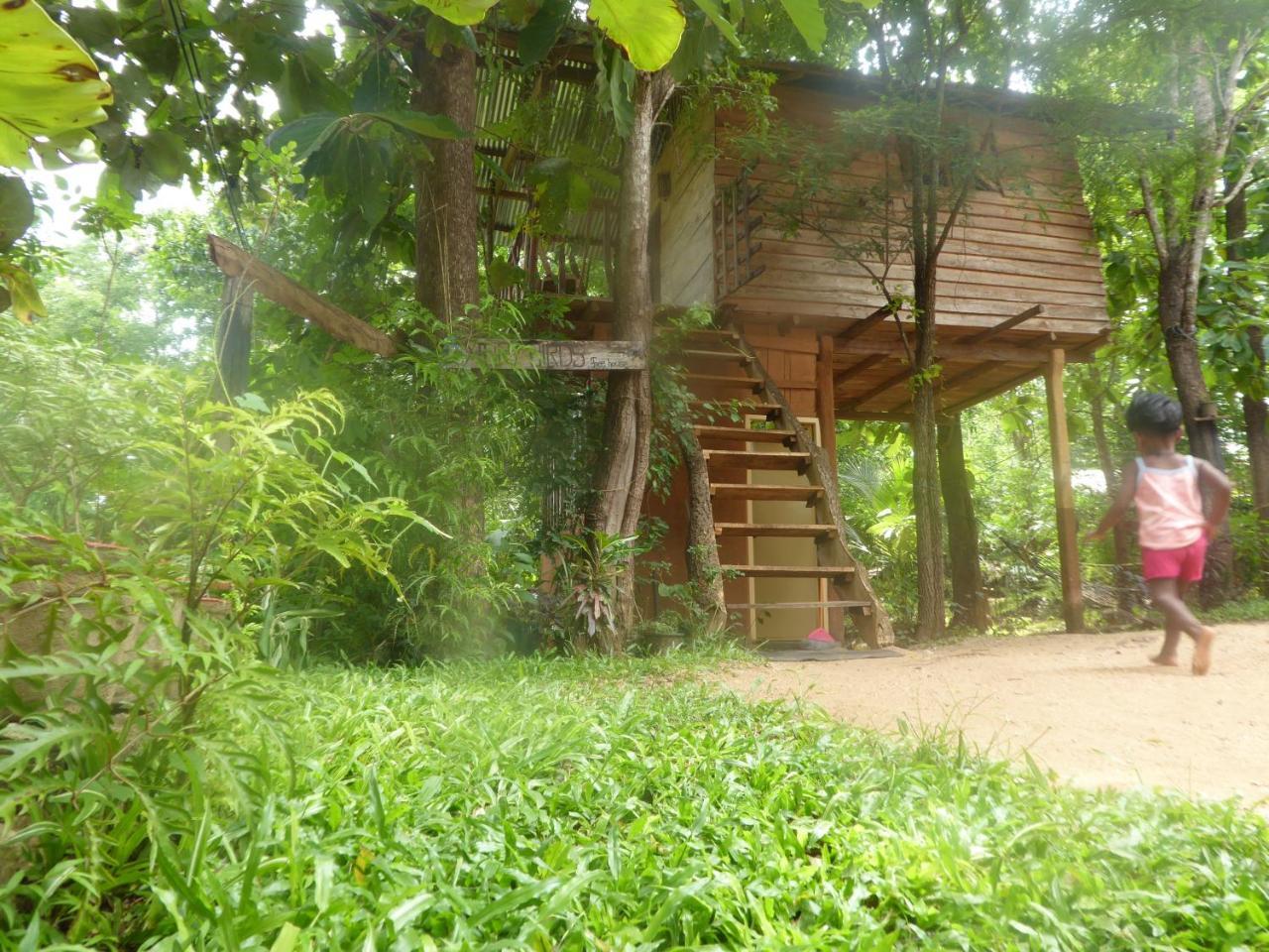 Angry Birds Tree House Apartment Habarana Bagian luar foto