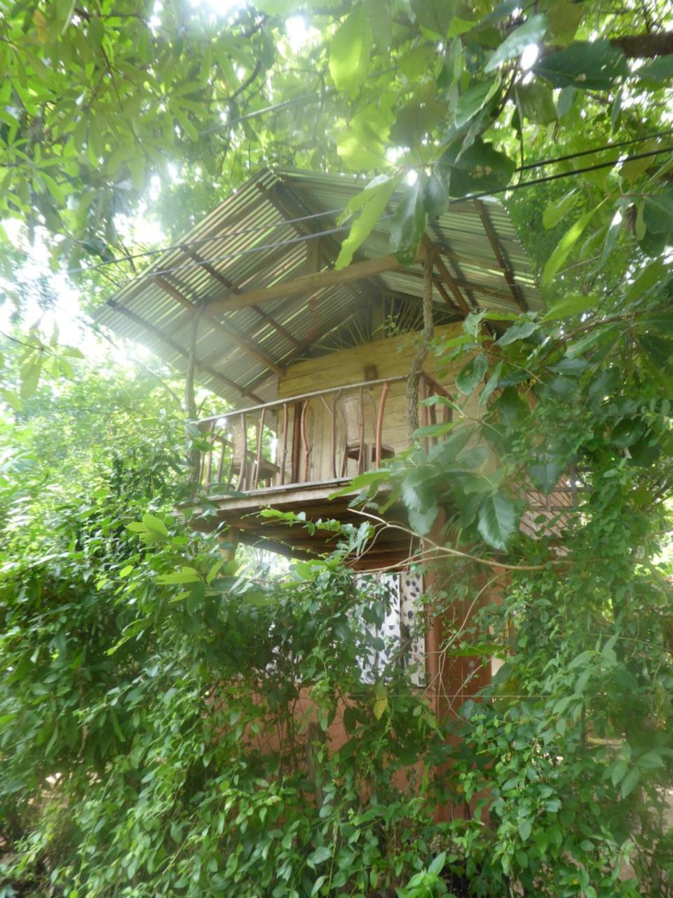 Angry Birds Tree House Apartment Habarana Bagian luar foto