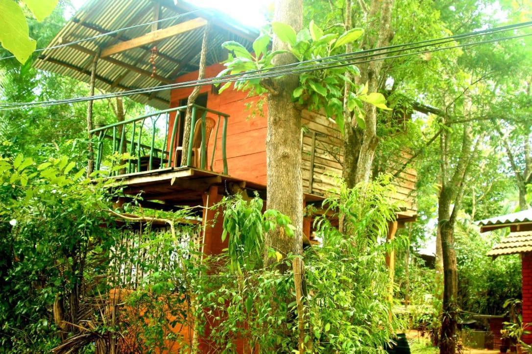 Angry Birds Tree House Apartment Habarana Bagian luar foto